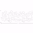 WA-PET-CUSTOM-04-F-1-min-1.png
