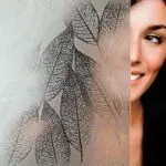 Panels Glass Film Frosted Leaf