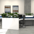 Planters Scene Render - 02