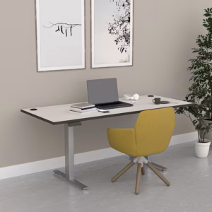 Quantum Series Electric Sit-Stand Desk | 9 Size Options | 9 Laminate Options